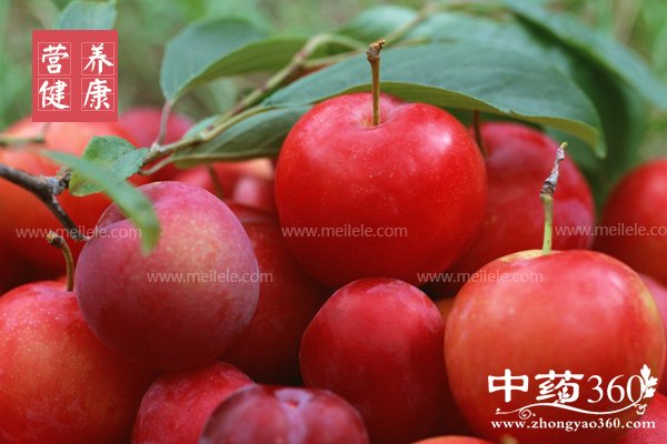 xingzidegongxiaoyuzuoyong