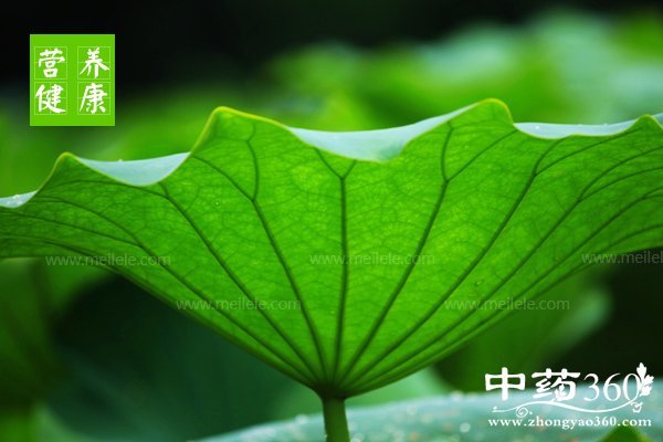 heyedegongxiaoyuzuoyong