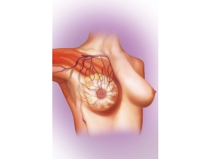 ��ôԤ�����ٰ� ����ź����������