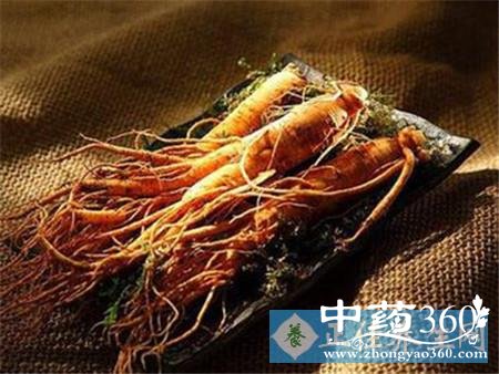 红参适合什么人吃
