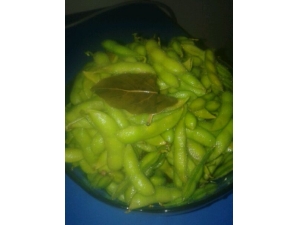 ��ʲô�������� ��Щԭ�����׵��¿�ǻ������