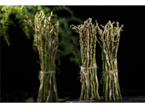 ʯ�������� ʯ����θ�Ƿ���