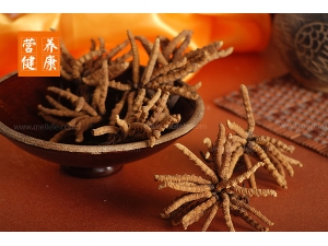 ݵĹЧüʳ÷ ݵӪֵȫ