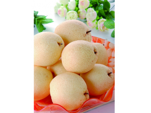 ������ȳ�ʲô�� ����ʳ�����Ч