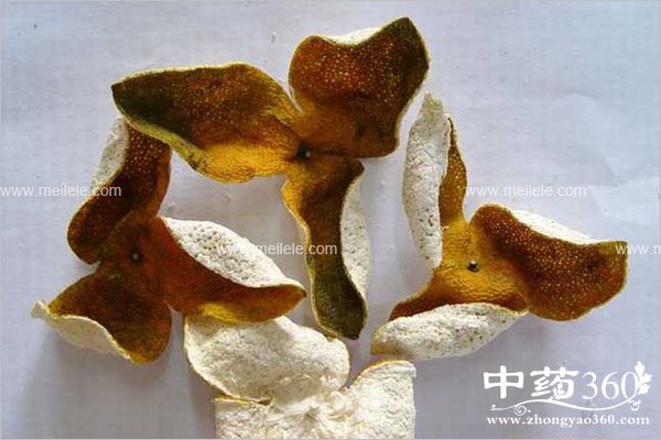 juzipidegongxiaoyuzuoyong