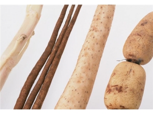 ����۲��ܺ�ʲôһ��� ��Ů���кܺõı�������