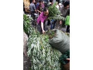 �°������ô� �ȿ����������ֿɷ����β�