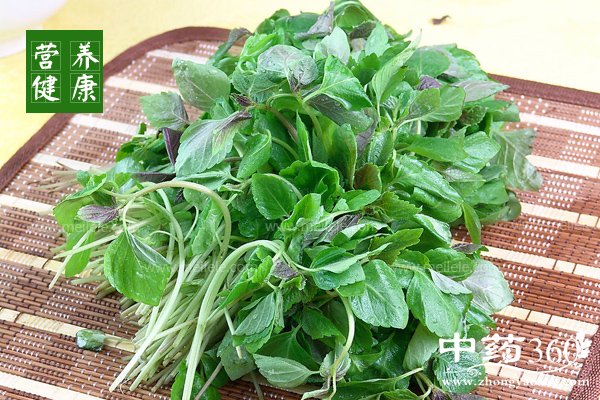 zisudegongxiaoyuzuoyong