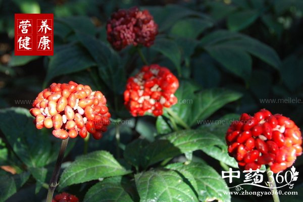 tianqidegongxiaoyuzuoyongjishiyongfangfa