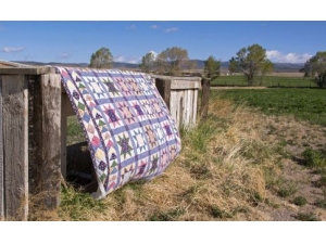 ����ɹ���ӵĺô� ɹ����Ҫע�������