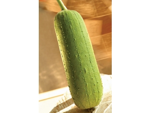 6�·����� ����8���߲�������