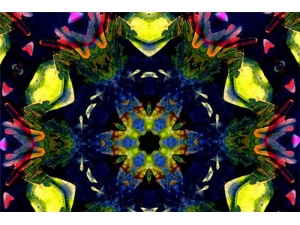 �����޵����� ���������޵Ĵ�˵