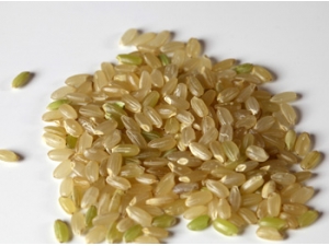 ���׵�Ӫ����ֵ ���׵�����