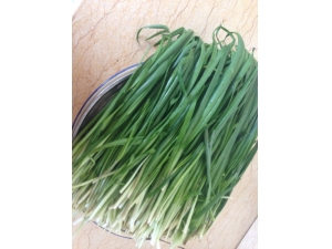 ������β��� ���Ľ����ǳԳ�����