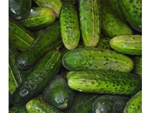 ����ƹϵĹ�Ч������ ��ѹȥ֬��Ч��