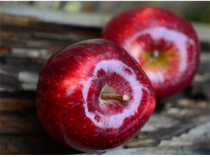 �߹��Ĺ�Ч������ ���ȥ�ﰲ�񿹰�