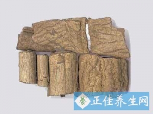 �������ƶ��٣� ���ٵ�ҩ�ü�ֵ