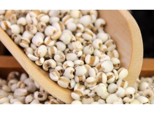 5庮Ů˲ܳԵʳ 庮Ůʳǧ