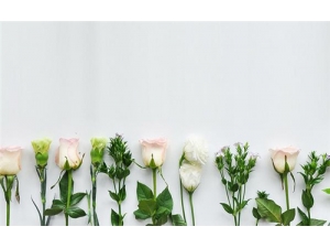 �۹������� �۹���ʳ�÷���