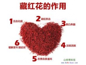 �غ컨�ȳ����Ľ���