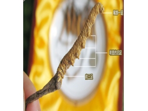 ��α�𶬳��Ĳݵ���� �и��ܳԶ����Ĳ���