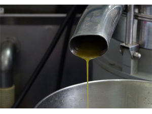 ɽ���͵Ĺ�Ч������ �������ݵı�����