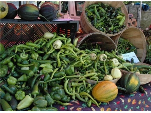 ��ϵĹ�Ч������ ������θ������