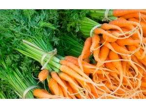 Ů�˲���Ѫ��9��ʳ�� ��֪���Ŀ�����