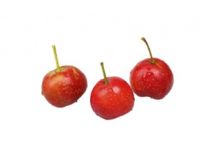 Ů�˳�ʲô��Ѫ���� ��֪����