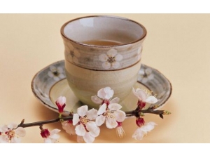 �����ڷ��ڵ�ʳ������Щ ��ʲô��������ڷ���