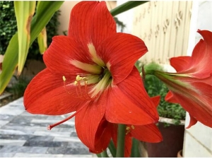 ��������ô�� �����޻������ӵ�ѡ��