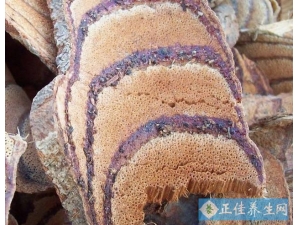 ֪����Ѫ����ʲô�𣿳���ʲôҩ��