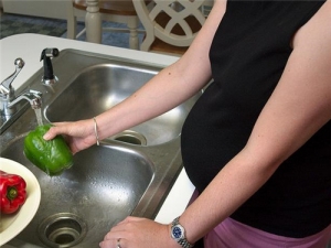 �и�������������ô�� �����ȵ�ʳ������