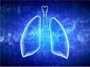 ����̵�԰˱� �Է�̵�а�����ʳ��