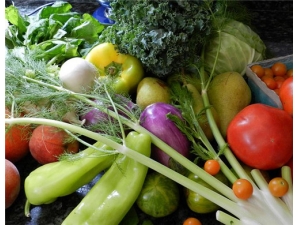 ÷�ɲ˵Ĺ�Ч������ ��θ��ѪЧ����