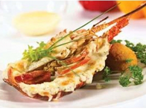 ֥�ɺ���Ϻ������ ֥�ɺ���Ϻ����ô����