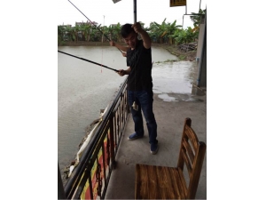 ��������ķ��� ���ڷ���������ѭ��12������Ч