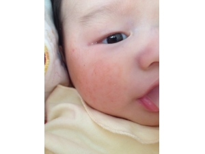 ʪԳ԰׺ ʪܳʲô