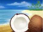 椰子油的功效与作用 椰子油最全功效盘点