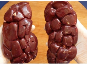 �����ӵĹ�Ч������ ������Ѫ׳������