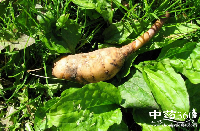 微信截图_20170107115043.png 微信截图_20170107115043.png