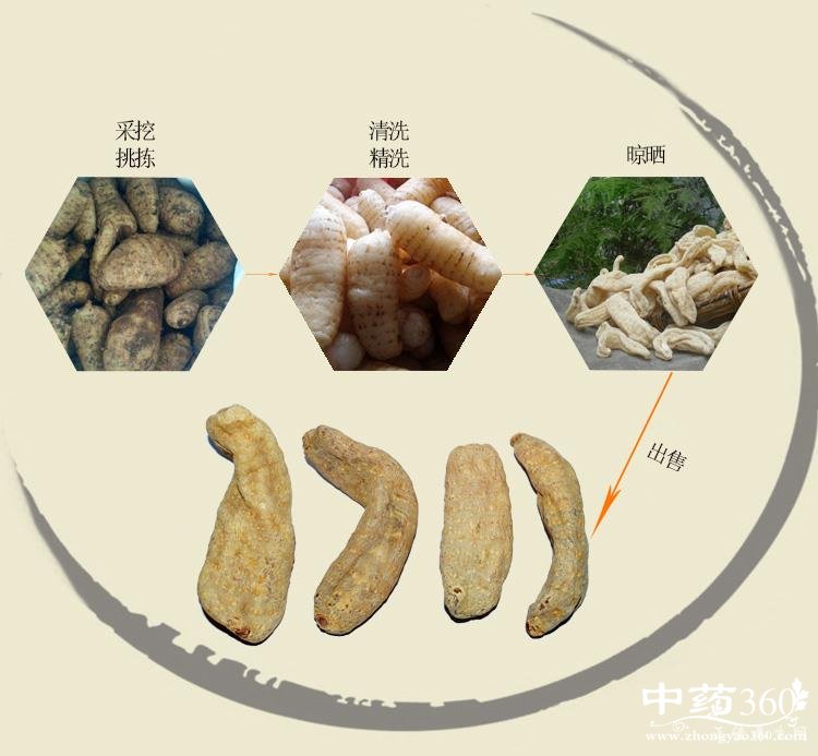 ChEi1VaOHsSATcRqAAOL6GARS4M65300.jpg ChEi1VaOHsSATcRqAAOL6GARS4M65300.jpg