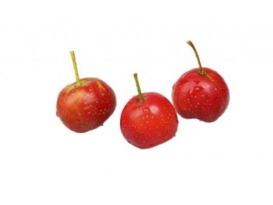 6�ֽ���ʳ�� ���ڱز�����Ŷ