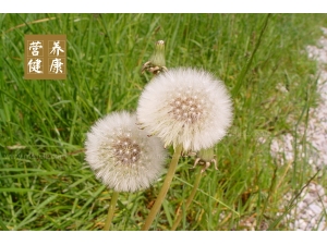 С��������ѹ�Ӣ�Ĺ�Ч�����ü�ʳ�÷���