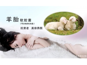 ��̥�ص����ݹ�Ч�븱����