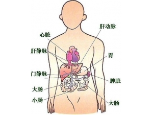 ���಻��֢״ ���ֺ�ϰ��Ҫ����