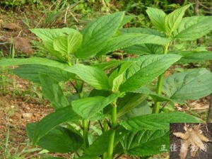 ���������� �����Ҫע����