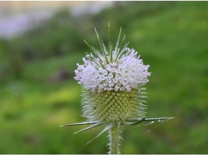 �Զ�����ô�� �Զ��ӵ��÷�����