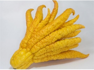 ������ô�� ������ô���ó�