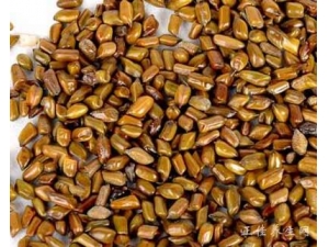 ������ҩ����ʲô���Ĺ�Ч��